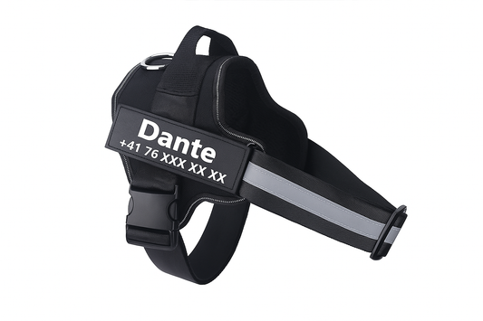 Harnais personnalisé sans traction pour chien – sécurité, confort et liberté